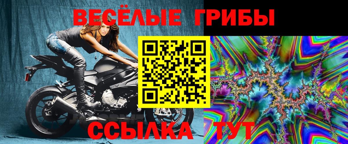 Галлюциногенные грибы Psilocybine cubensis  Вход с VPN  Кохма 